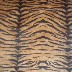 110 – Suede Tigre B