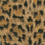 030 – Cheetah / Earth